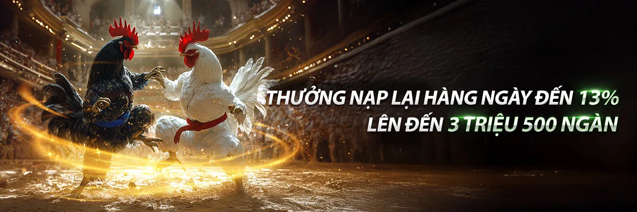 Hình ảnh tổng quan 8kbet123 nhà cái