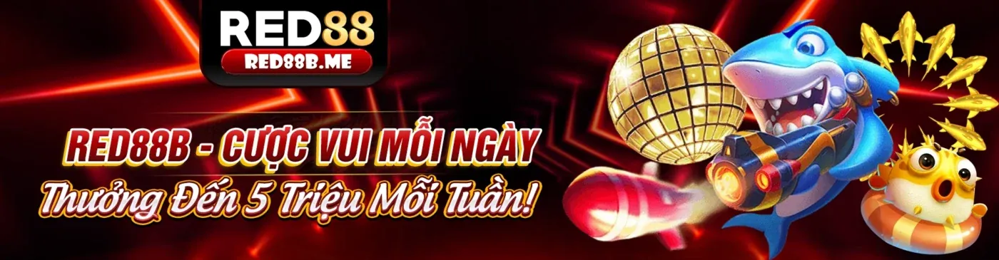 Hình ảnh tổng quan về ưu điểm nền tảng 8kbet123 nhà cái